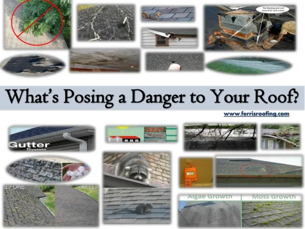 What’s Posing a Danger to Your Roof