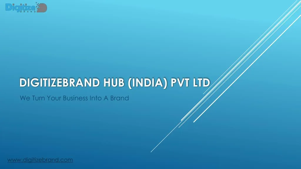 digitizebrand hub india pvt ltd