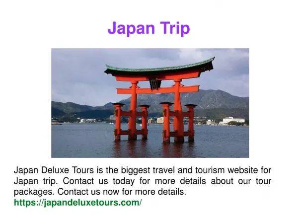 Japan Travel Tour Guide