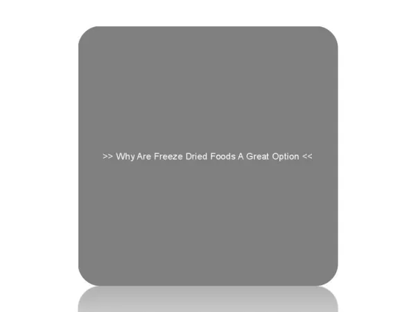 Why Are Freeze Dried Foods A Great Option