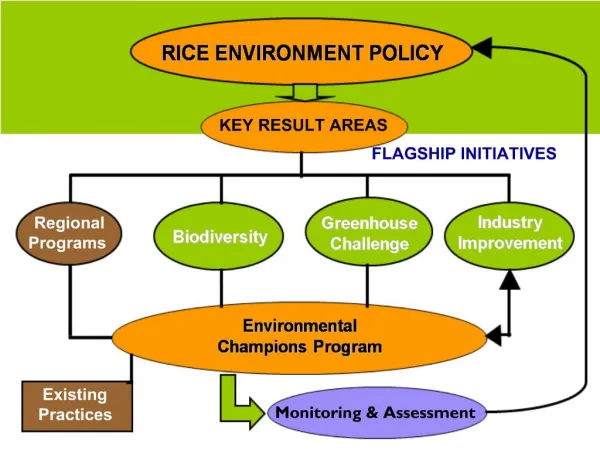 RICE ENVIRONMENT POLICY