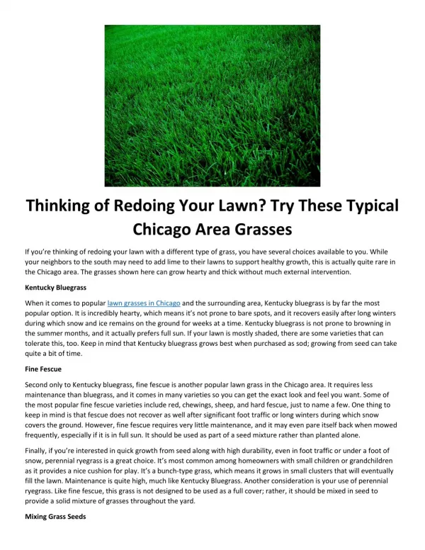 Thinking of Redoing Your Lawn? Try These Typical Chicago Area Grasses