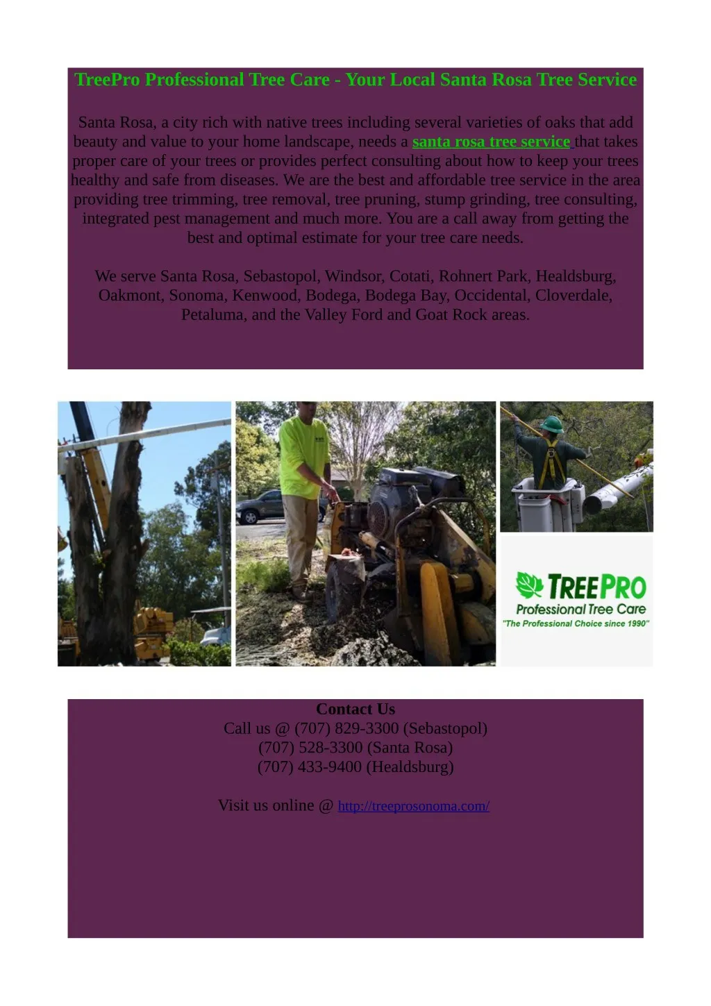 treepro professional tree care your local santa