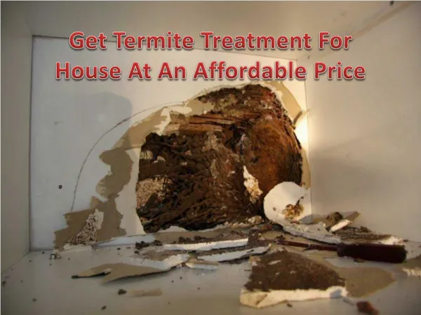Get Termite Treatment For House At An Affordable Price