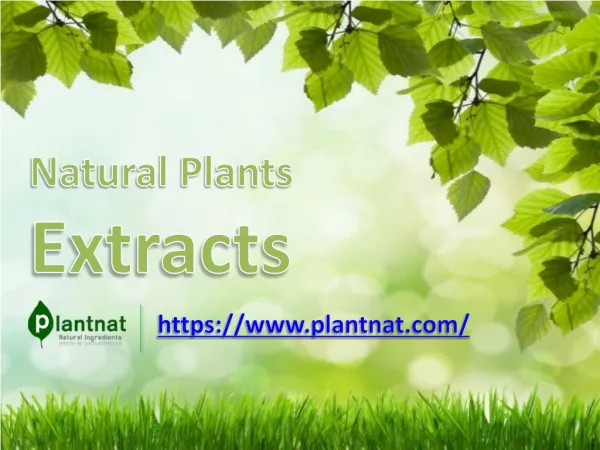 Natural Plants Extracts | Natural Ingredients
