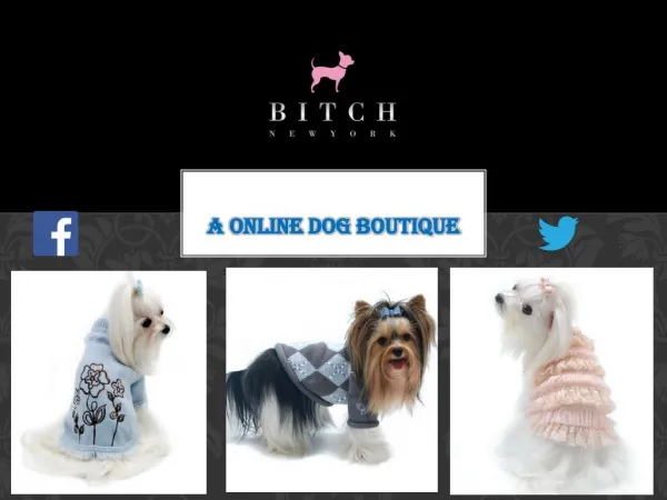 Designer Dog products Shop Online