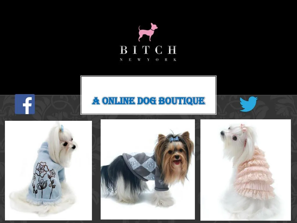 a online dog boutique