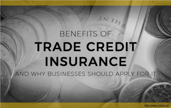 How Can Trade Credit Insurance Help Businesses To Boost Their Sales?