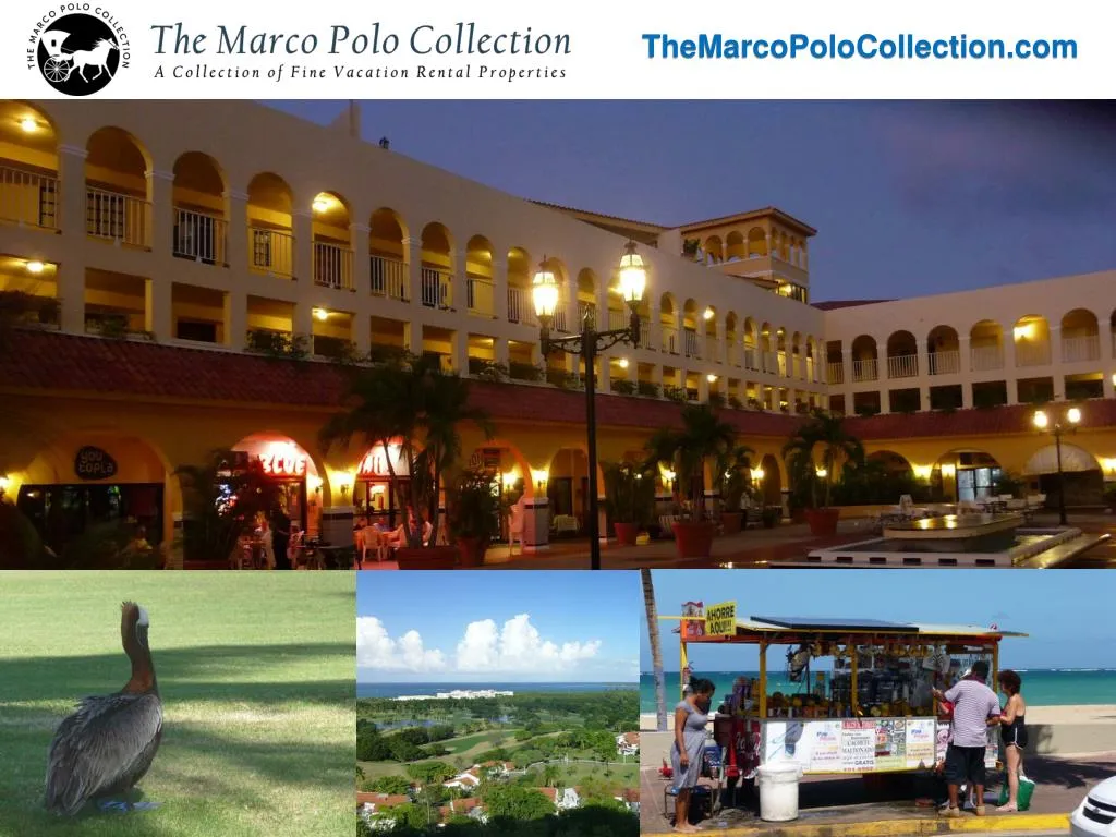 themarcopolocollection com