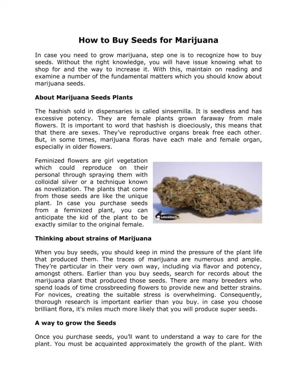 Buy Seeds for Marijuana