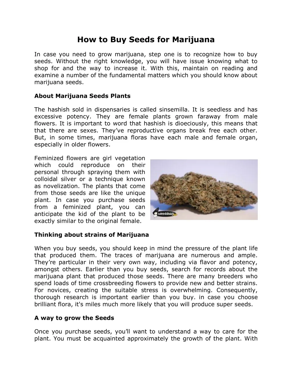 how to buy seeds for marijuana