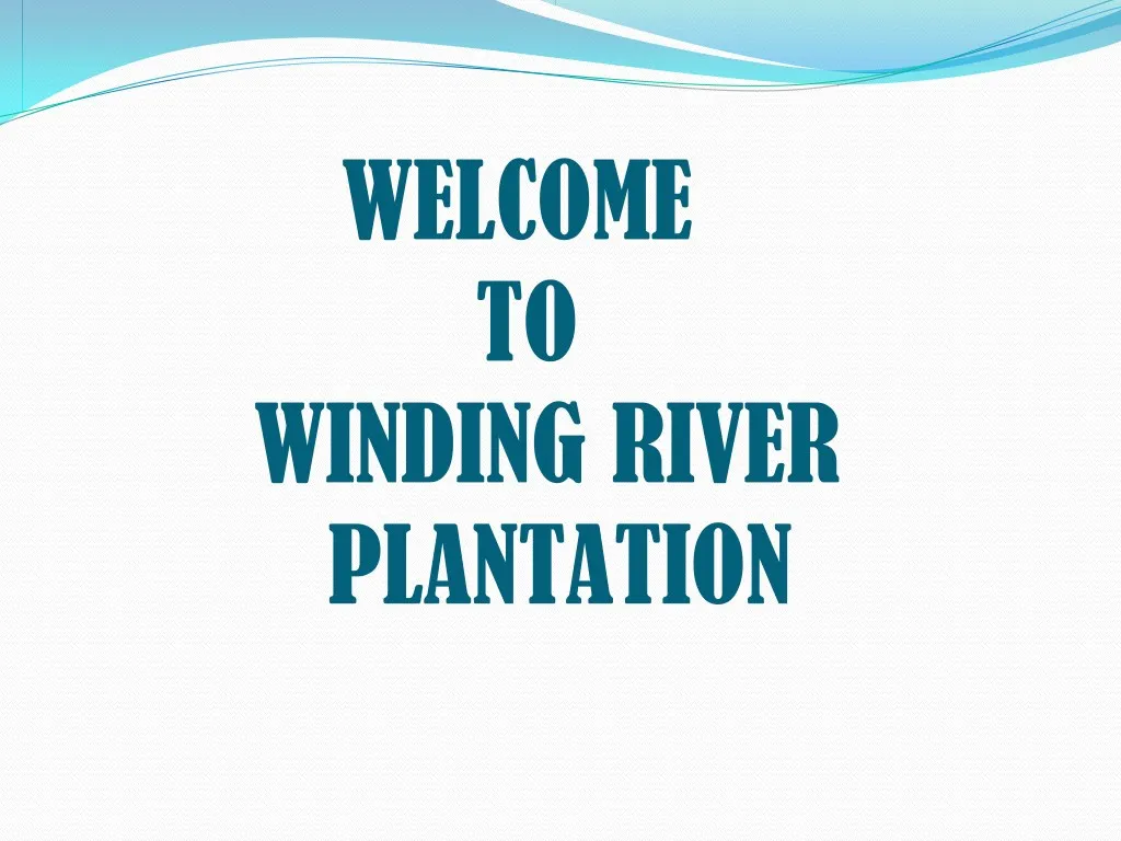 welcome to winding river plantation
