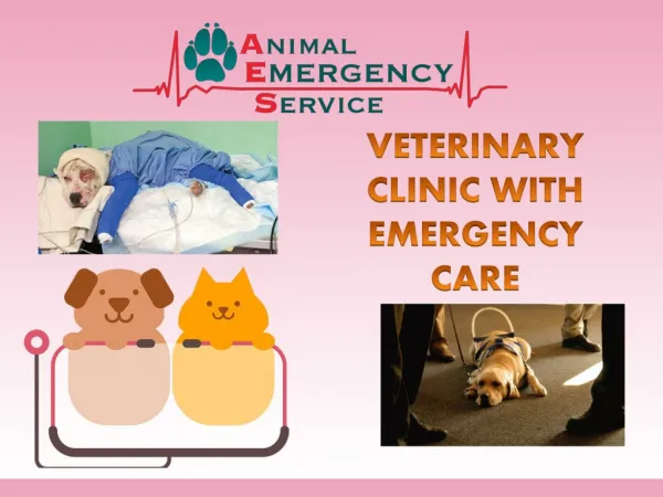 Veterinary Clinic With Emergency Care