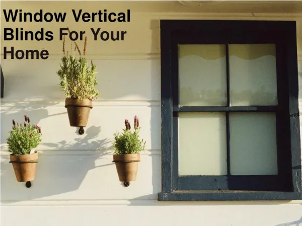 Window Verticle Blinds