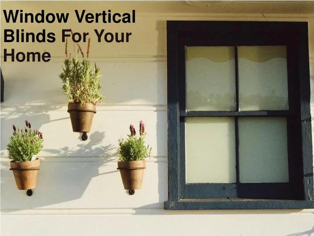 window vertical blinds for your home