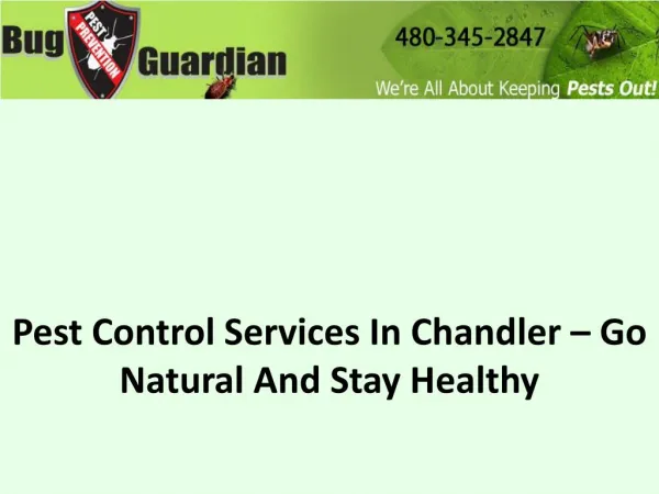 Pest Control Services In Chandler – Go Natural And Stay Healthy