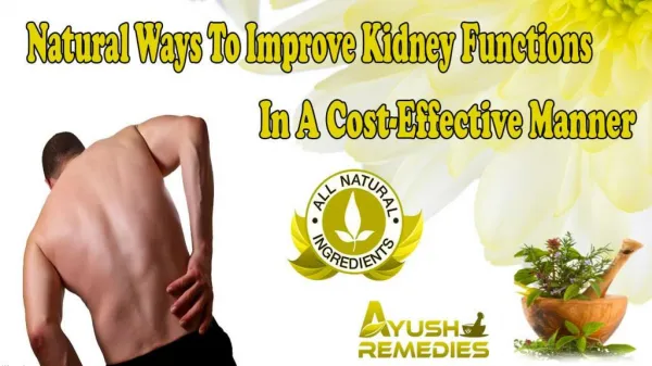 Natural Ways To Improve Kidney Functions In A Cost-Effective Manner