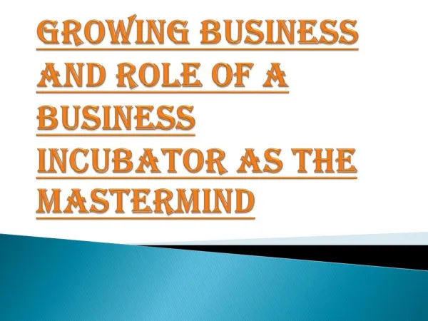 Role of a Business Incubator As The Mastermind