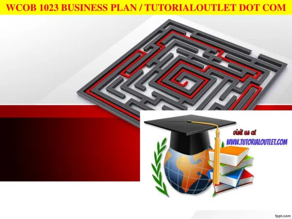 WCOB 1023 BUSINESS PLAN / TUTORIALOUTLET DOT COM
