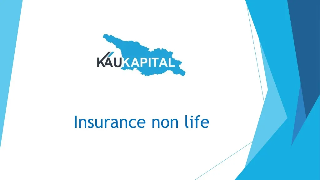 insurance non life