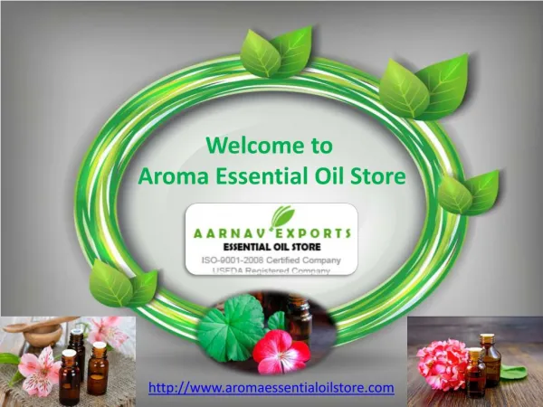 Best and Pure Essential Oil Supplier
