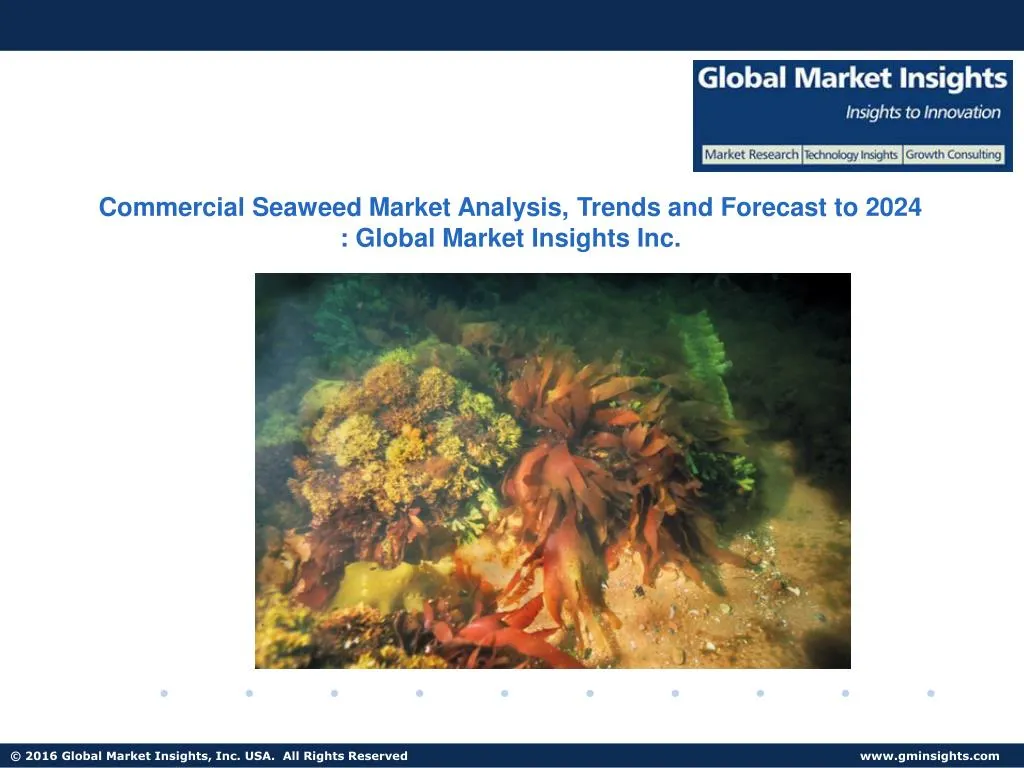 commercial seaweed market analysis trends