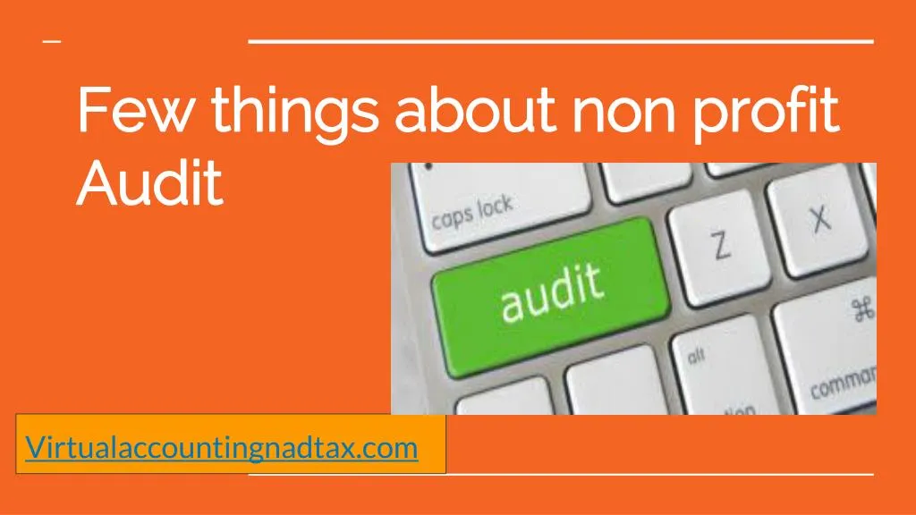 f ew things about non profit audit
