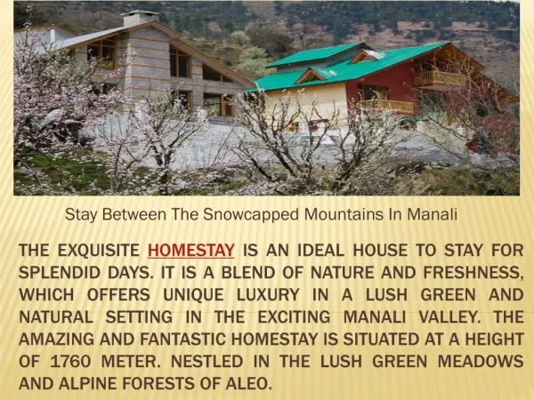 Stay Between The Snowcapped Mountains In Manali