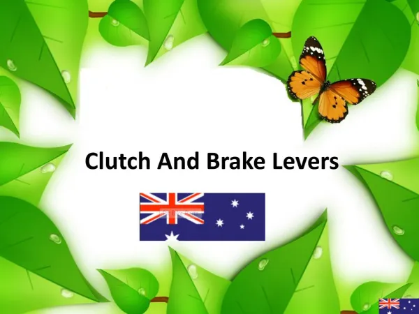 Clutch And Brake Levers