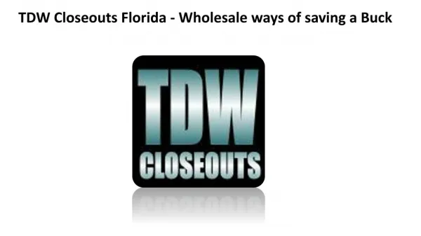TDW Closeouts Florida - Wholesale ways of saving a Buck