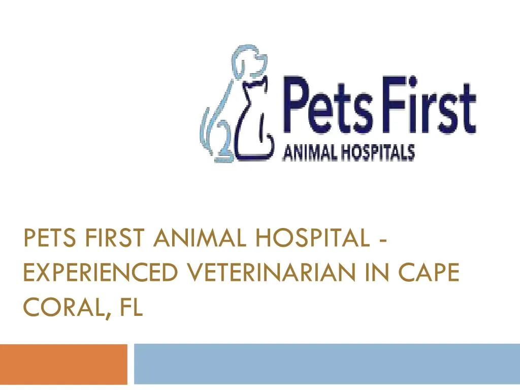 pets first animal hospital experienced veterinarian in cape coral fl