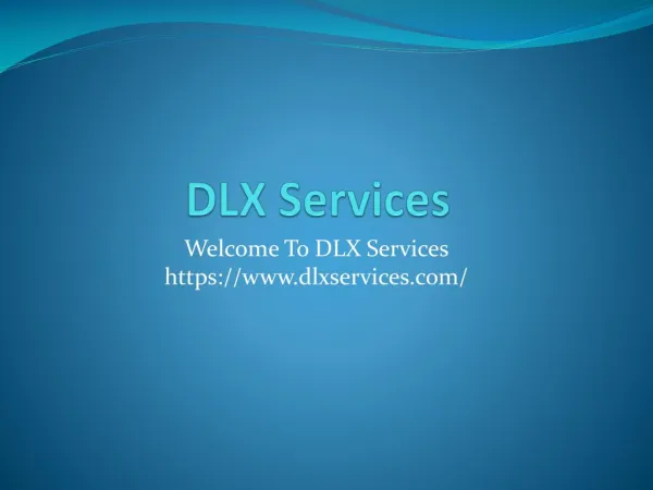 Dlx Services