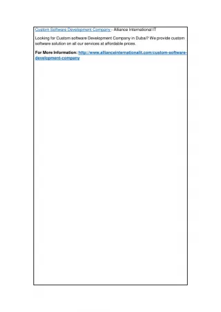 Custom Software Development Company - slide 1