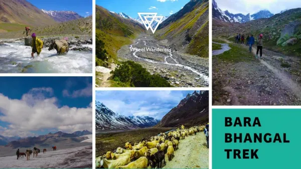 Bara Bhangal Trek, Treks in india
