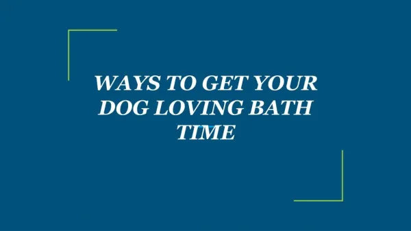 WAYS TO GET YOUR DOG LOVING BATH TIME