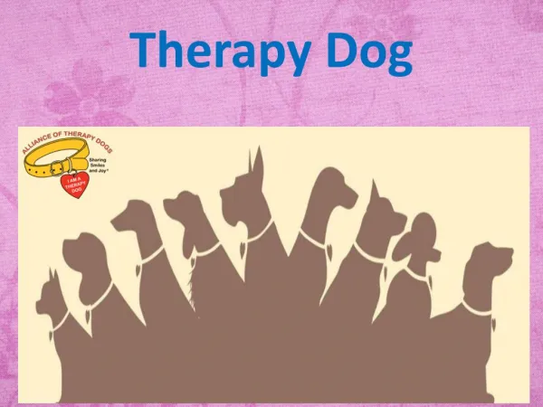 therapy dog