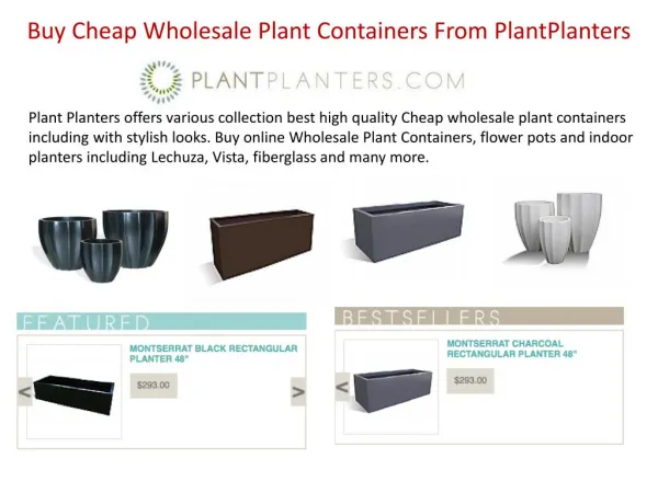 Buy Cheap Wholesale Plant Containers