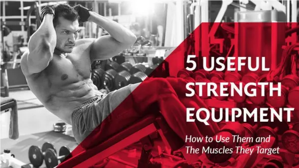 5 useful strength equipment & the muscles they target