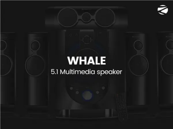 Zebronics 5.1 Multimedia Speaker Whale BT-RUCF