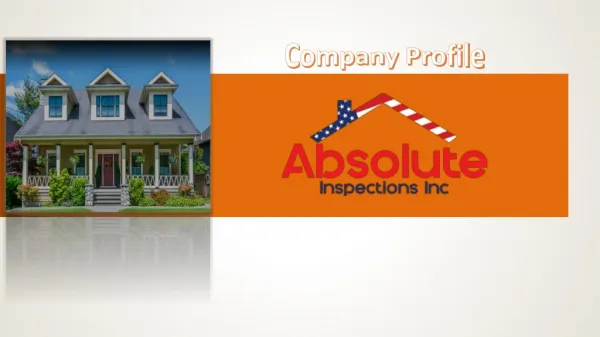 Absolute Inspections Company profile