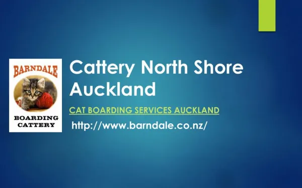Cattery North Shore Auckland