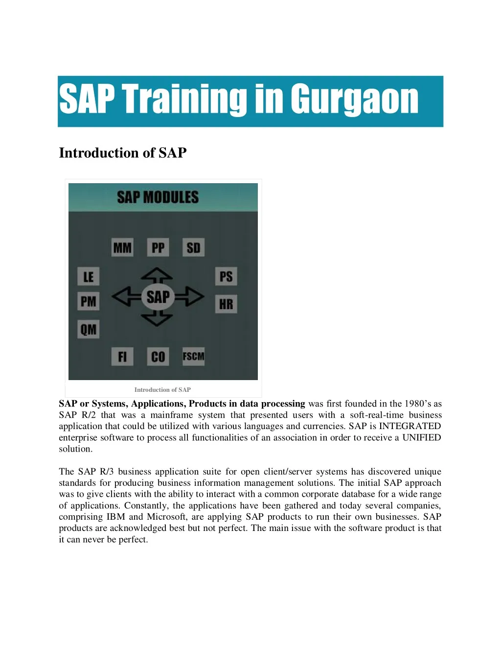 sap training in gurgaon introduction of sap
