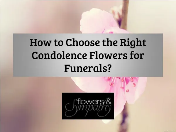 How to Choose the Right Condolence Flowers for Funerals?