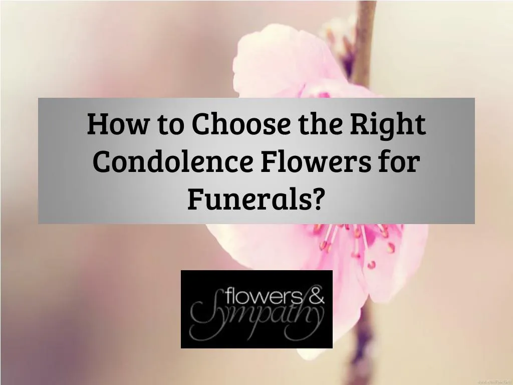 how to choose the right condolence flowers for funerals