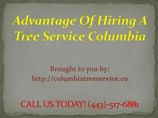 Columbia Tree Removal Service