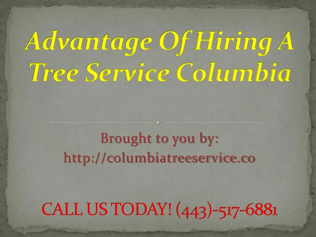 advantage of hiring a tree service columbia