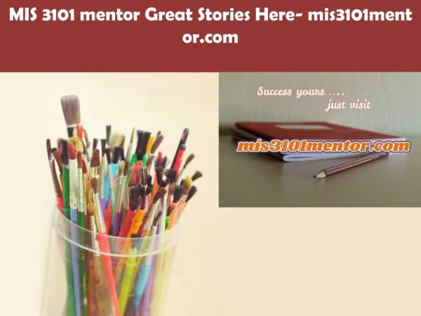 MIS 3101 mentor Great Stories Here/mis3101mentor.com