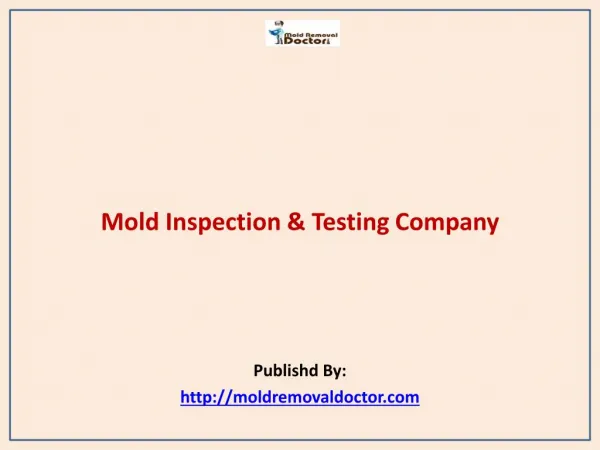 Mold Removal Doctor