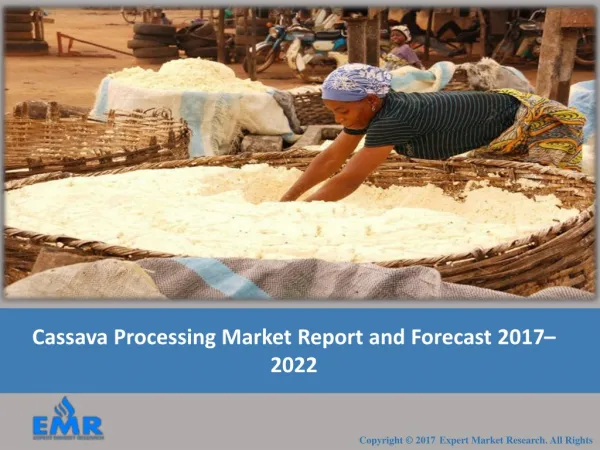Cassava Processing Industry Report and Outlook 2017 To 2022