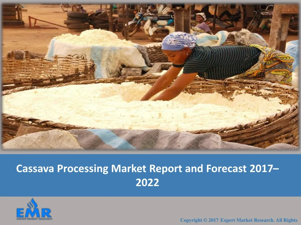 cassava processing market report and forecast